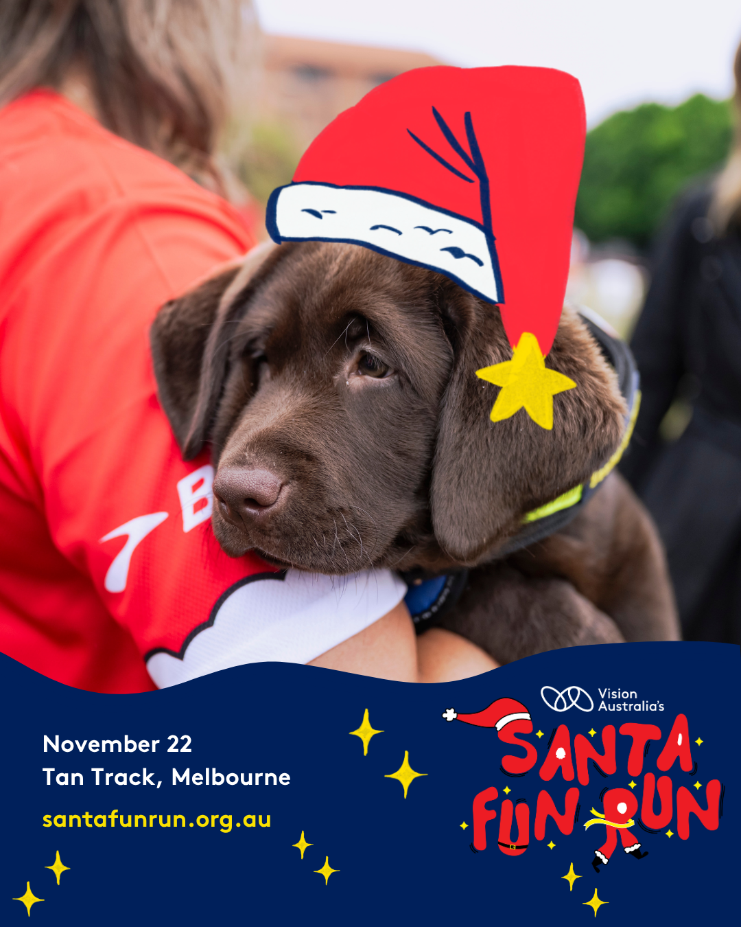 Social tile - Christmas dog