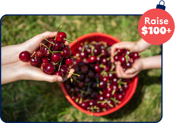 A bowl of cherries A bowl of cherries