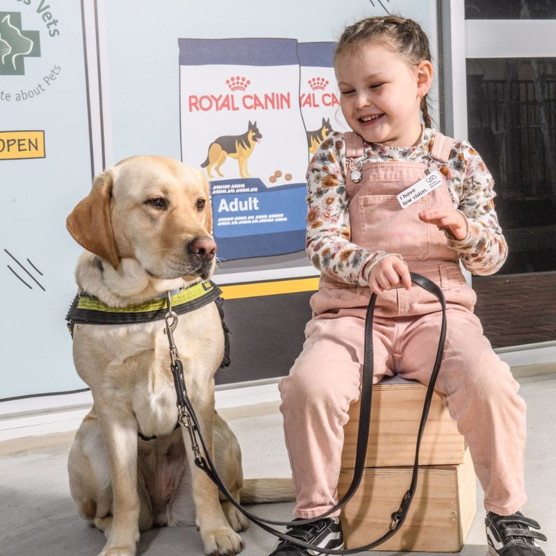 LUna wears pink overalls and sits holding the lead of a Seeing Eye Dog