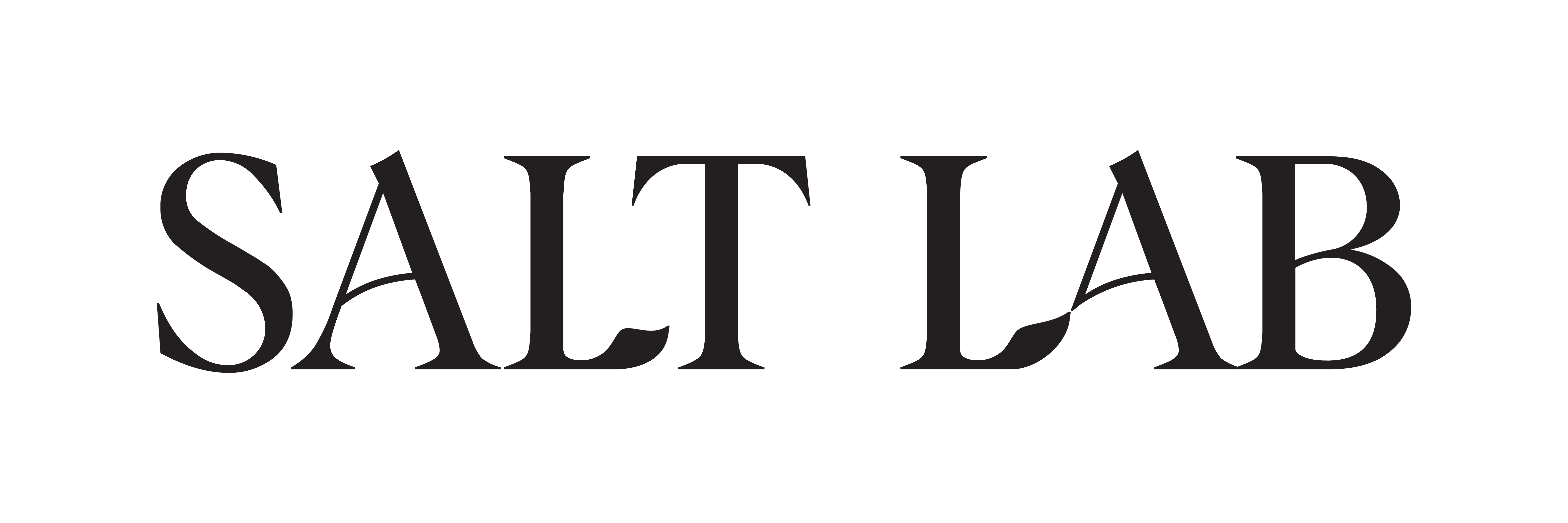 Logo Salt Lab Logo Salt Lab
